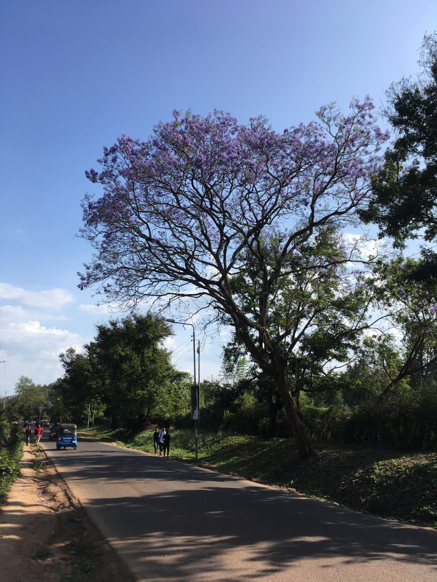 9D8F57EA-8C17-4E99-AC0F-1AFDB0CC87D9